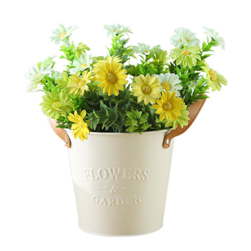 Metal Plant Pot Indoor Rustproof Mini 15cm Bucket Planter Succulent Flower