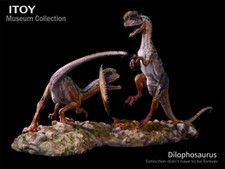 Itoy Museum Collection Dilophosaurus Dinosaur Statue 1/15 Jurassic Animal Model