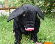 Pig Animal Mascot Costume Event Cheerleading Xmas party cos game Fancy dress