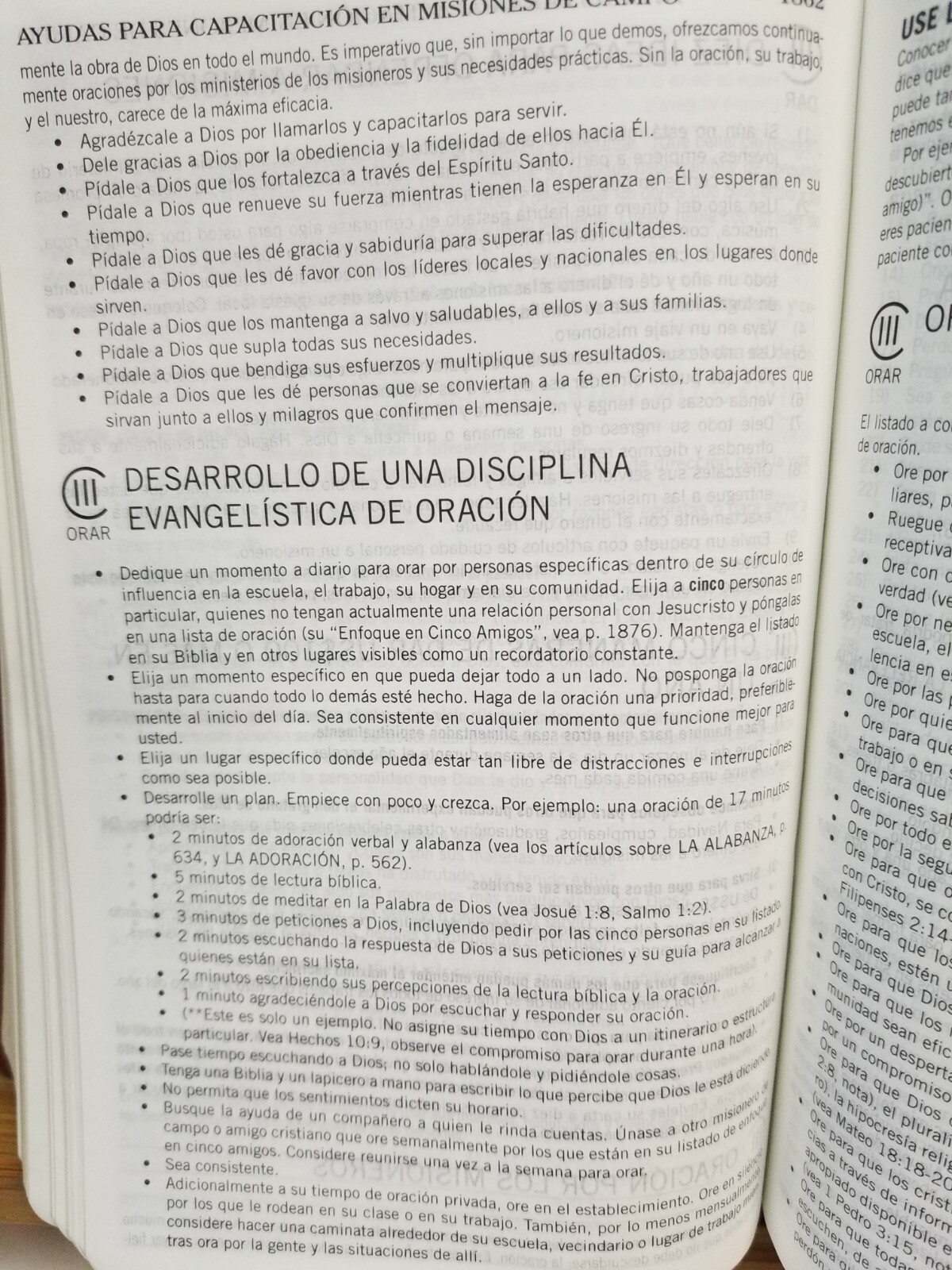 Imagen 8 de 8