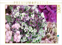 Calvendo Puzzle Hydrangea 'Magical Revolution' | 1000 Pieces, Finished Size 25.2