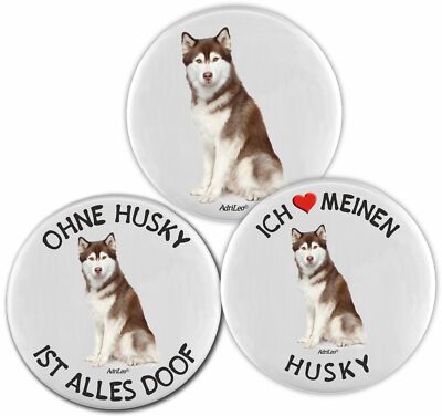 Kühlschrankmagnet - 3er Set - Brauner Husky - Siberian Hund Dog Magnet Pin Deko