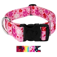Country Brook Petz® HossFit Jr Wide Deluxe Dog Collar (Affection Collection)