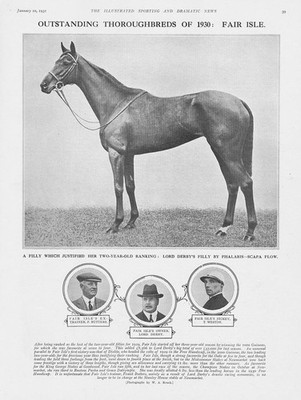 PFERDERENNEN Lord Derby's Racehorse 'Fair Isle' - Vintage Print 1931