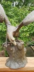 Bild 2 von 9
