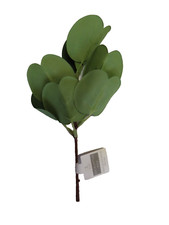 3 pieces of 8  Eucalyptus Picks.  Floral Crafts Lucky Star Enterprises NEW