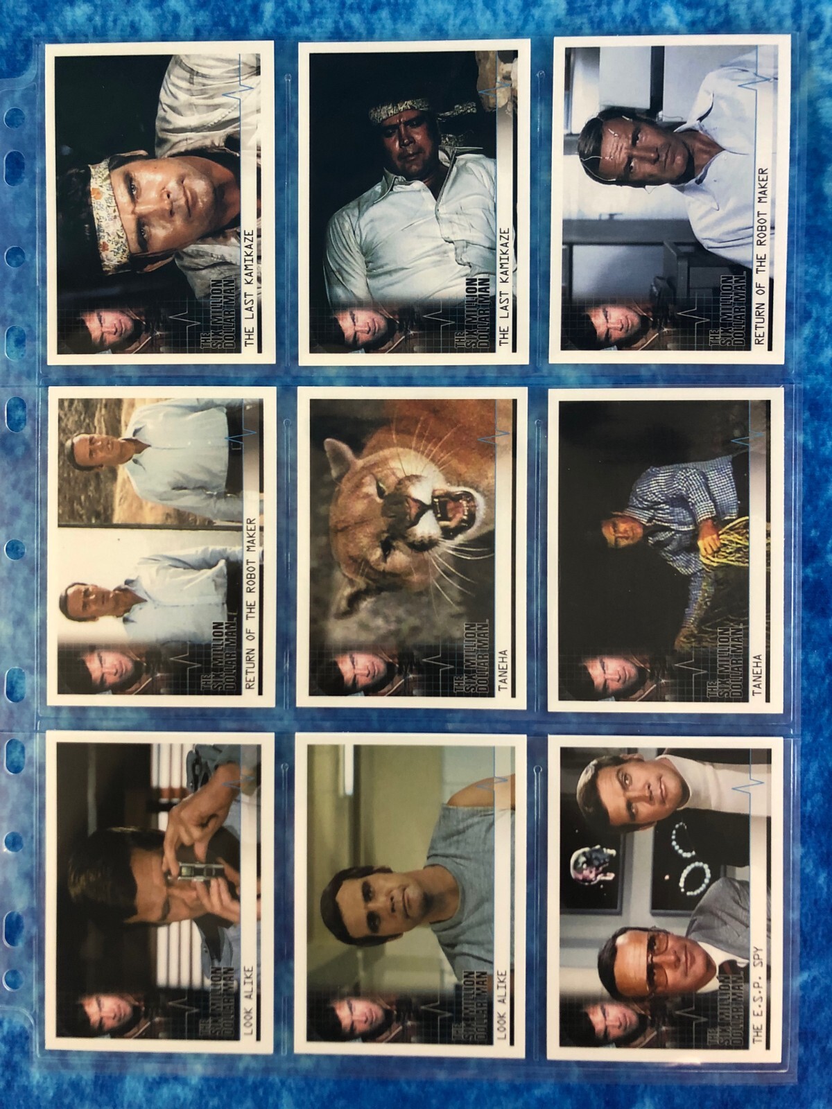 Picture 14 of 17