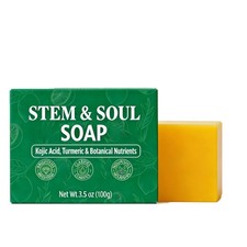 Stem and Soul Soap Upgraded Stem Soul Turmeric Lemon Soap Bar For Dark Spots