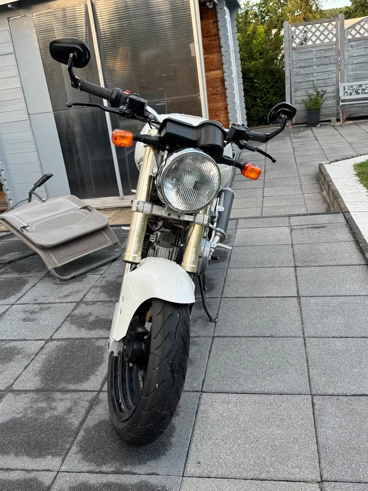 Ducati Monster 600, 29.740 km, Bj. 1994 - Bild 3 von 3