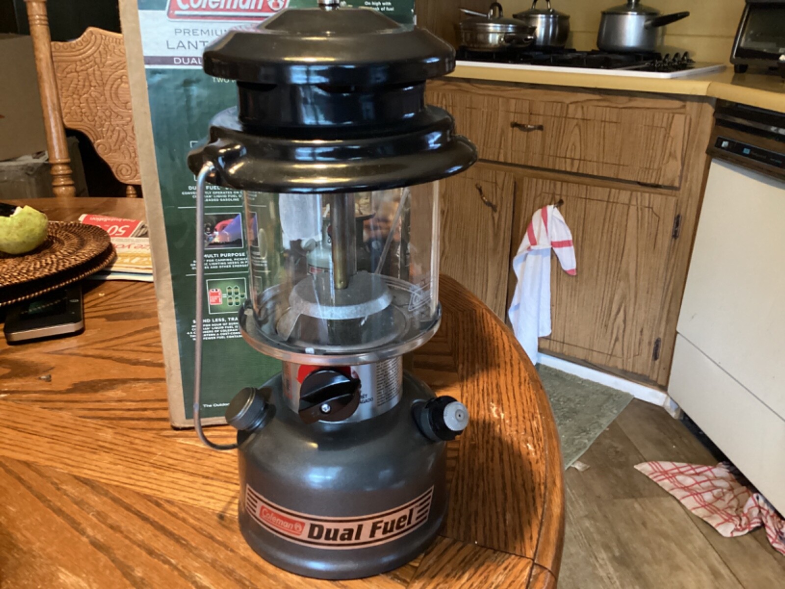 Coleman Dual Fuel Camping Lantern excellent 861 Bright eBay