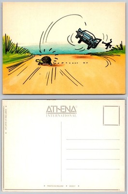 Funny Cartoon Postcard Bumpy Ride Turtle Car Accident Athena International
