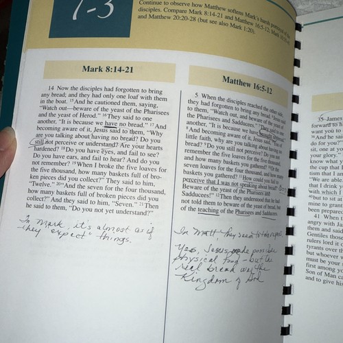 Jesus in den Evangelien: Studium und Evangeliumsvergleich Leander E. Keck - akzeptabel - Bild 7 von 10