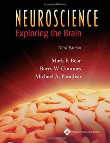Neuroscience: Exploring the Brain  von Mark F. Bear | Buch | Zustand gut