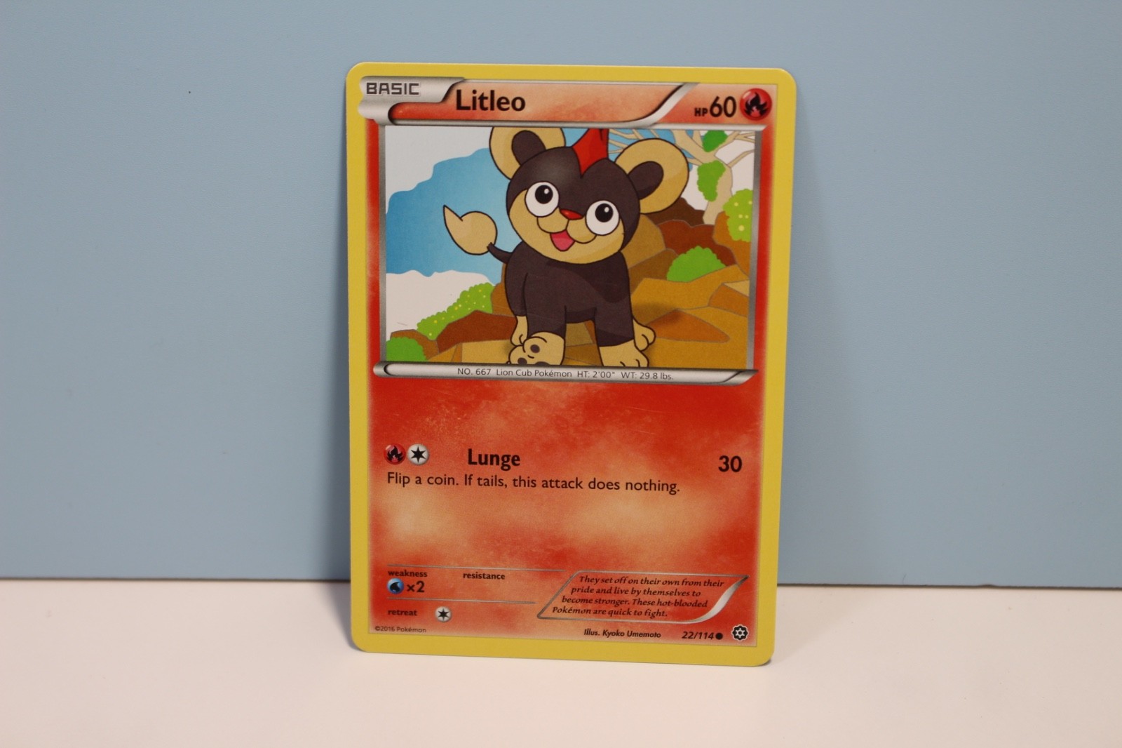 Pokémon TCG Litleo 22/114 XY Steam Siege Regular Common Card EN-LP 2016