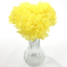 Larksilk Carnations Artificial Flowers - Fake Flowers for Easter Decorations,...