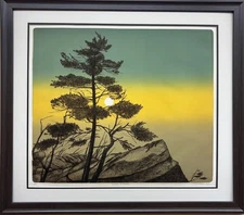 Dimitrov "After the Thunder" Hand Signed & # Etching Tree Nature Sun FRAMED NEW!