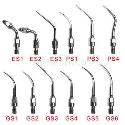 12Type Dental Ultraschall Piezo Scaler spitzen Endo Perio F/ SIRONA ZEG Tips Es