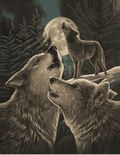 Plush Queen Size Wolf Blanket - Extremely Soft - Wolf Song