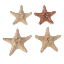 4 Pcs Beach Party Supplies Sea Themed Ornament Coastal Bedroom Decor