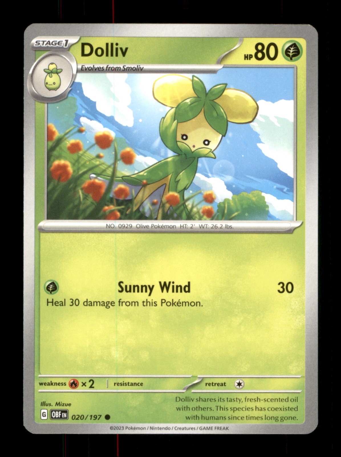 Dolliv 020/197 Regular Nintendo  Pokemon Trading Card TCG