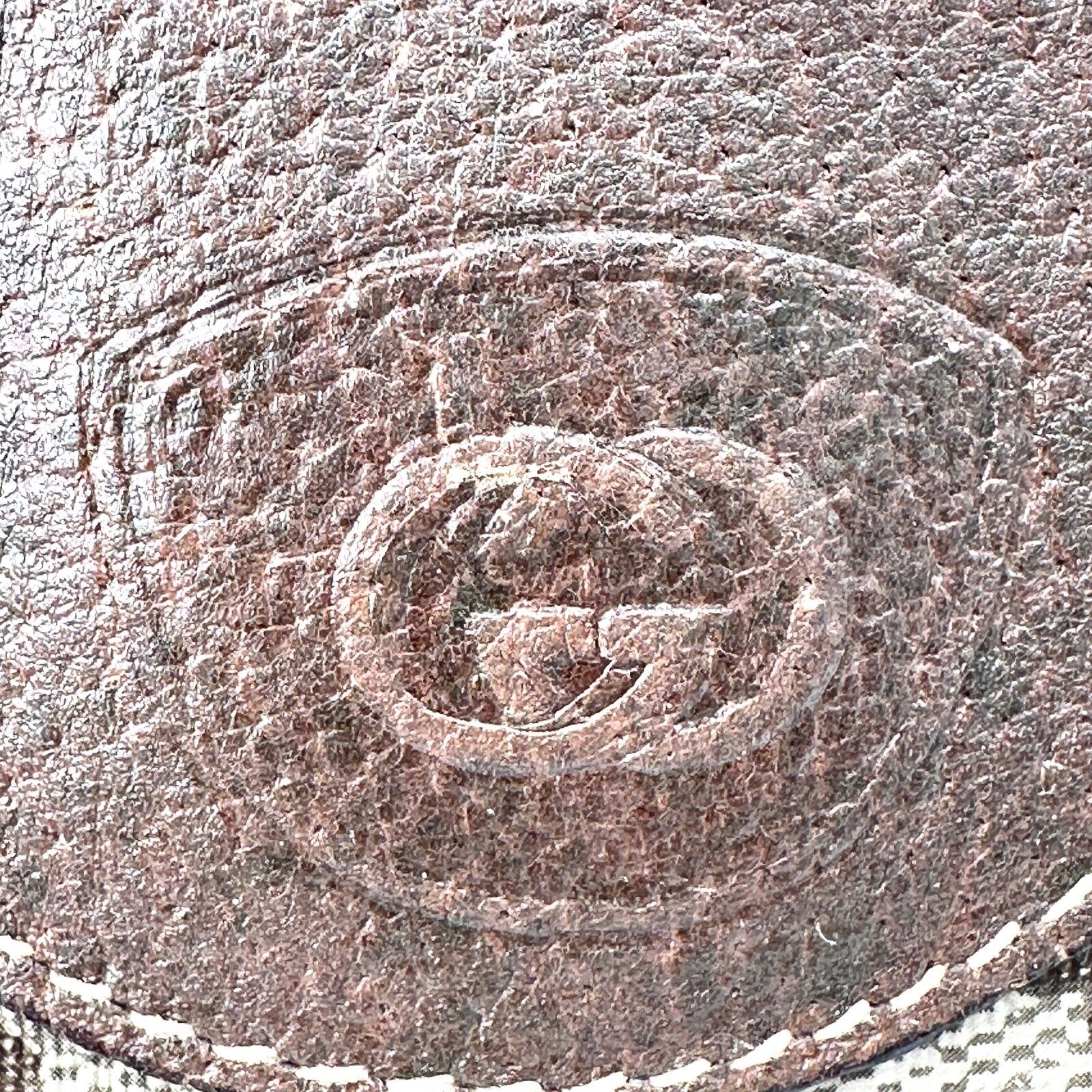 Picture 7 of 24