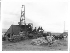 Mule Team And Loaded Ore Wagons At Stamp Mill In Desert 1890-1892 - Old Photo