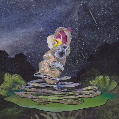Meteors Could Come Down [VINYL]