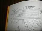 Picture 5 of 6