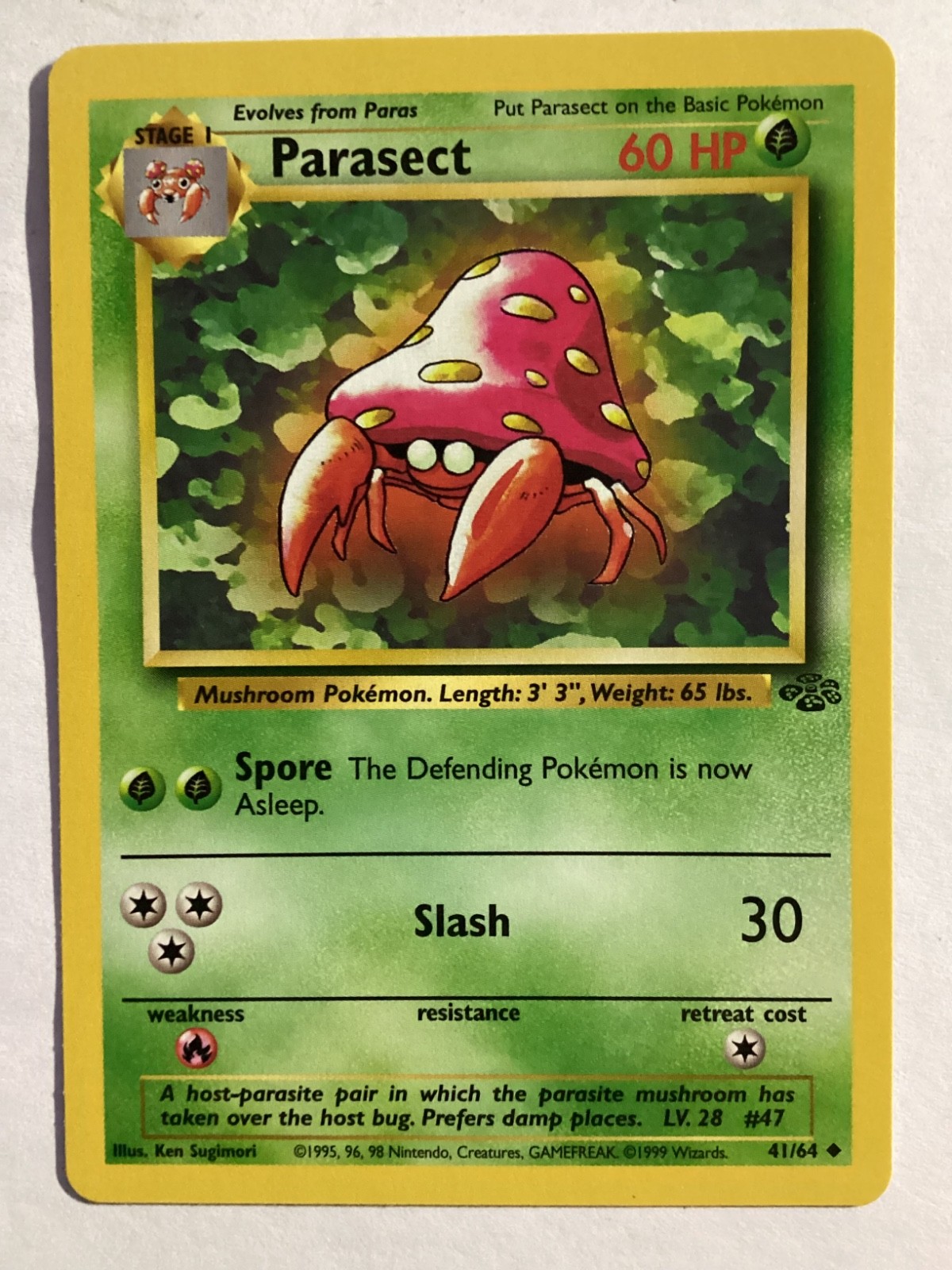 Pokemon 1st Edition Parasect Uncommon  Jungle 41/64 MINT !!!