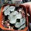 Foto 1 di 8