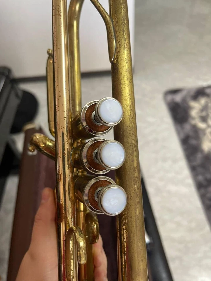 YAMAHA YTR-2310 Tromba Oro Strumento musicale Modello principiante articolo u... - Immagine 3 di 4