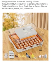 56 Egg Incubator, Automatic Turning & Smart Temp/Humidity Control