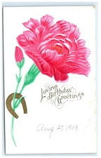 1909 Vintage Embossed Pink Carnation Birthday Postcard with Horseshoe