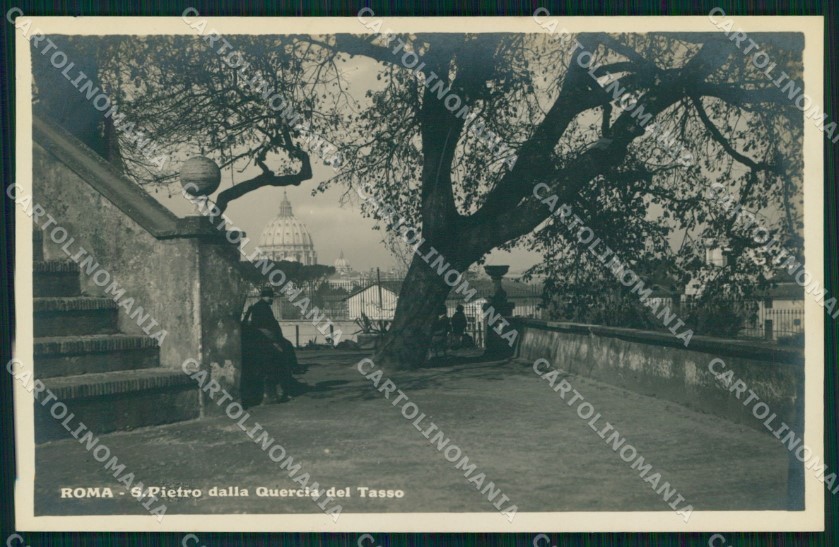Roma Città San Pietro da Quercia del Tasso Alterocca 134 Foto cartolina MX1811