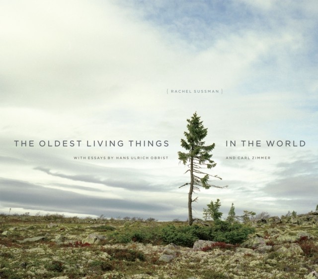 The Oldest Living Things in the World by Rachel Sussman (Hardback Book)