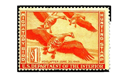 Vaticano 2020 – Annata Completa Francobolli Nuovi – Filatelia Negrì - Foto 10