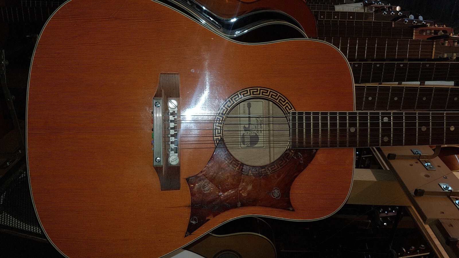 Picture 7 of 7