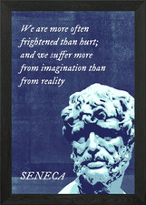 Seneca Suffer Imagination Framed Wall Art Poster Canvas Print Picture