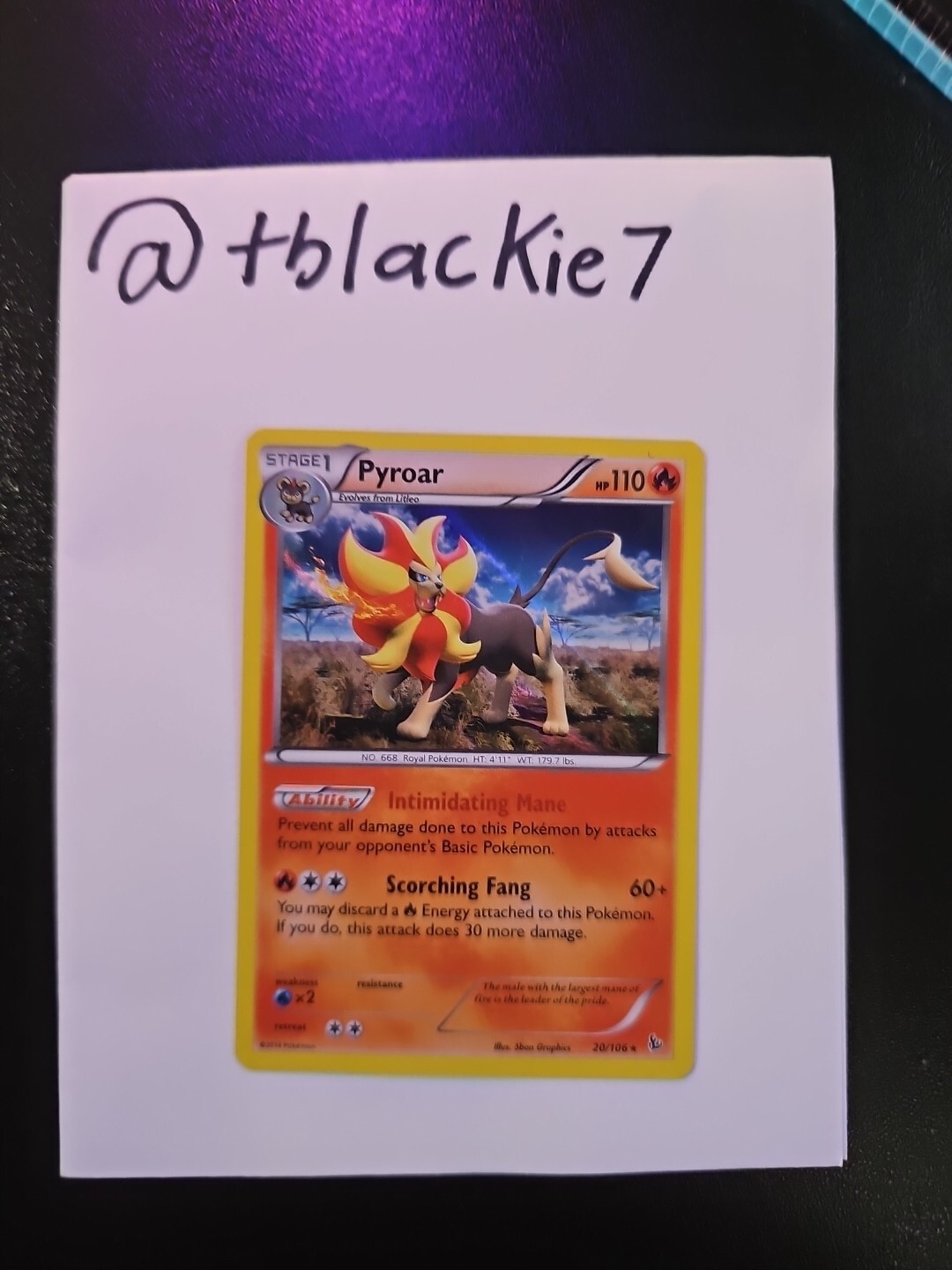 Pyroar 20/106 Pokemon Flashfire 2014 Holo Rare NM