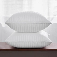 Oubonun 20 x 20 Throw Pillow Inserts, Firm and Fluffy Decorative Square Pillows