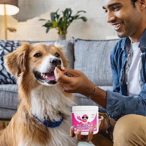 All-itch And Immunity Food Treats Chews For Dogs Healthy Digestion Gut Support - Foto 7 di 11