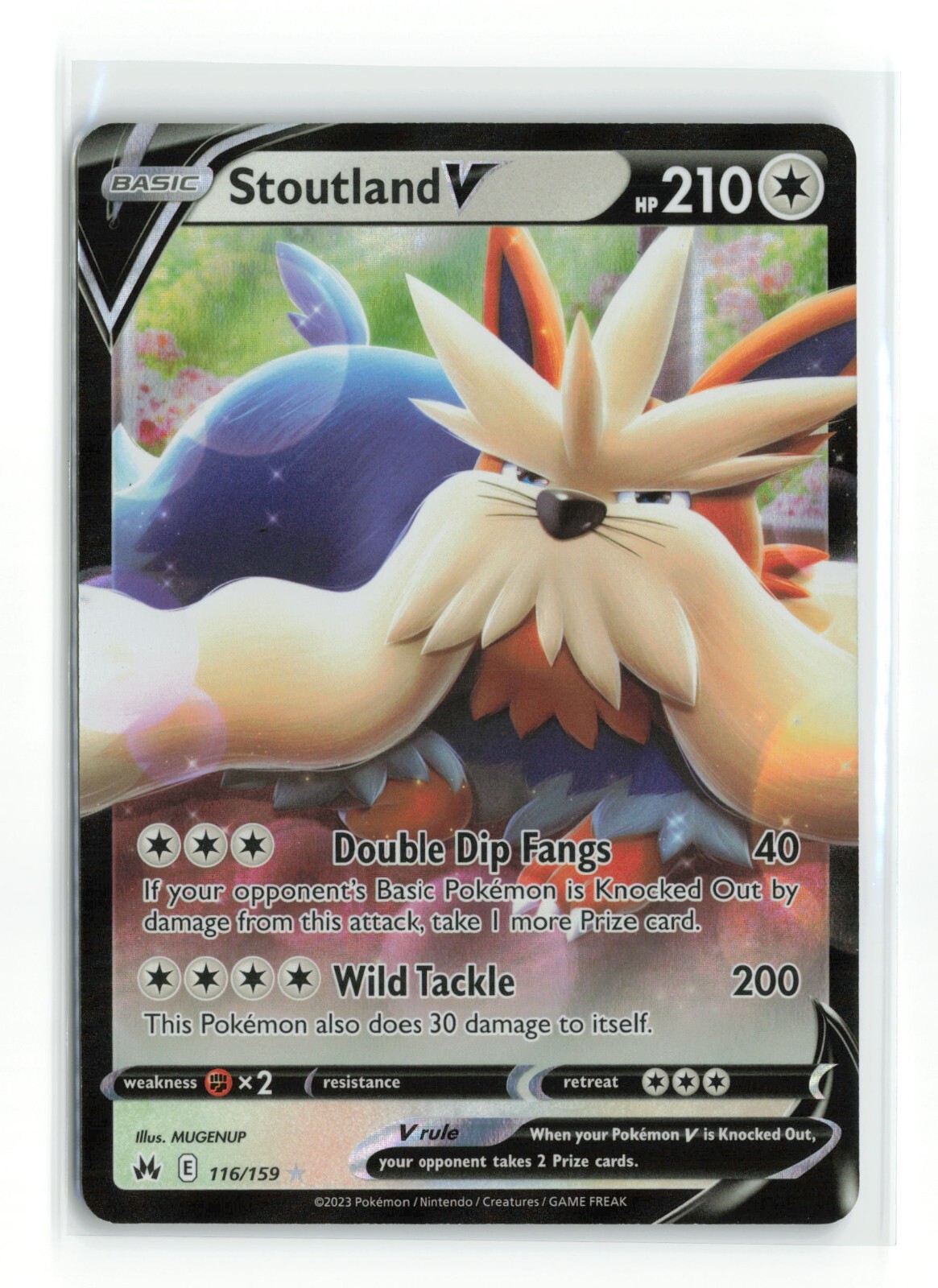 Stoutland V 116/159 Ultra Rare Crown Zenith TCG Pokemon Card NM