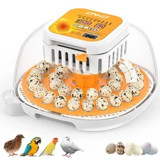 36 Quail Incubators for Hatching Eggs, Quail Egg Incubator with Automatic Egg...