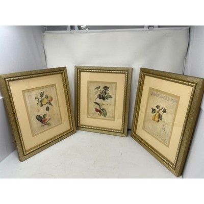 Fabrice de Villeneuve Framed Fruit Prints Still Life Wall Art Set of 3