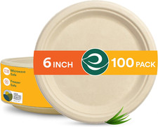 100 Compostable 6 Inch Small Paper Plates 100-Pack Disposable Party Heavy Dut