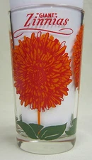 "Giant" Zinnias 5" Size Peanut Butter Glass Glasses Drinking Kitchen Mauzy 24-3