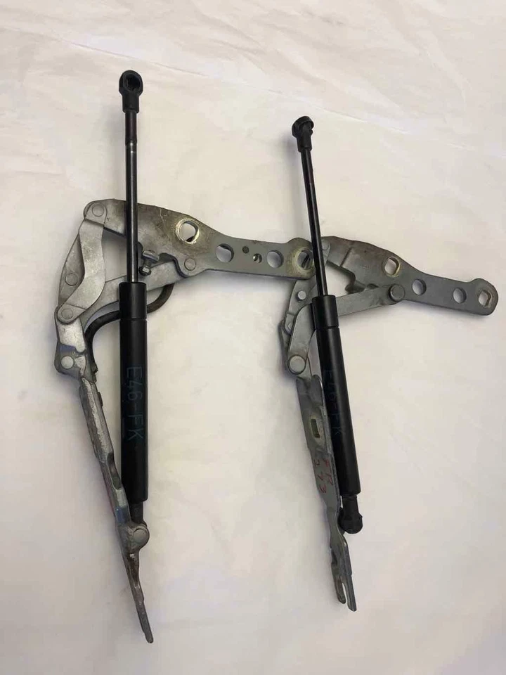 Panel capó delantero izquierdo y derecho BMW 325I 2001-2006 Foto 4 de 4