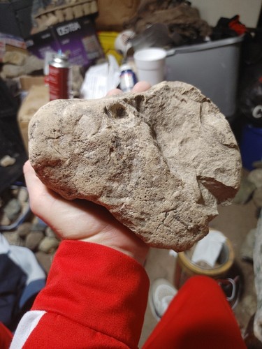 Authentic Native American Paleo Indian/Rock Art/Ceremonial Ax Head/Demon Effigy - Picture 10 of 24