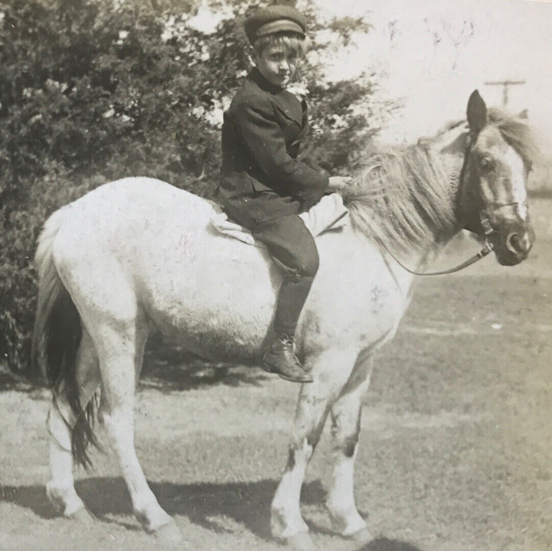 Antico Vintage RPPC Young Boy Equitazione Miniatura Cavallo Pony Newsboy Cappello Berretto Tuta #193