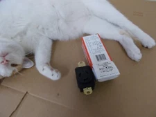 Pass & Seymour L720-R Outlet Fixture